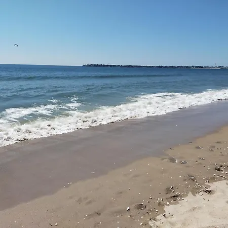Adonis La Baule